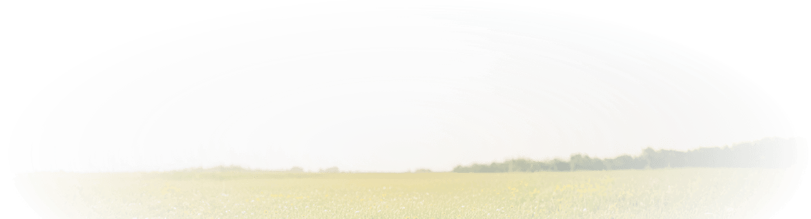 background footer